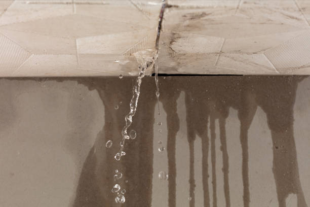 Professional Water Damage Repair technician working in Bass Harbor, ME